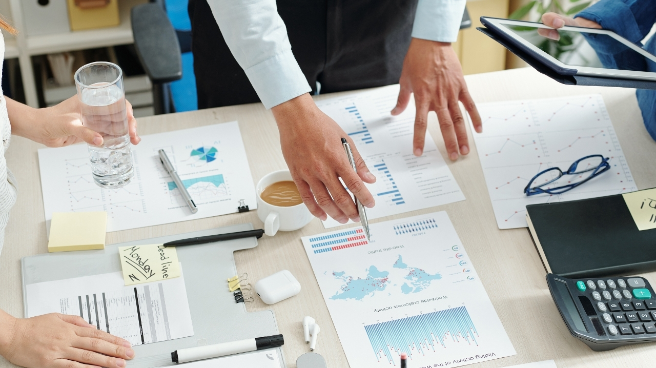 Elfmann Global - Coaching and Mentoring Programs
